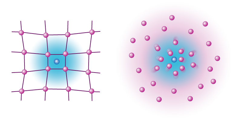 Estudi del comportament de les impureses en sistemes de Bose i Fermi