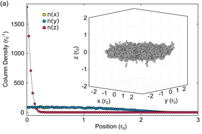 First theoretical study of Bose-Einstein condensate of a system of polar molecules developed