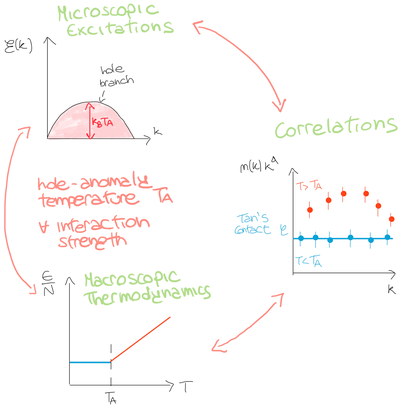 High-velocity particles thermally transform from quantum to classical ones crossing the anomaly temperature