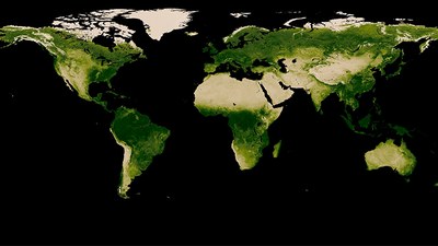 Creado un método para prevenir y detectar la desertificación de los bosques